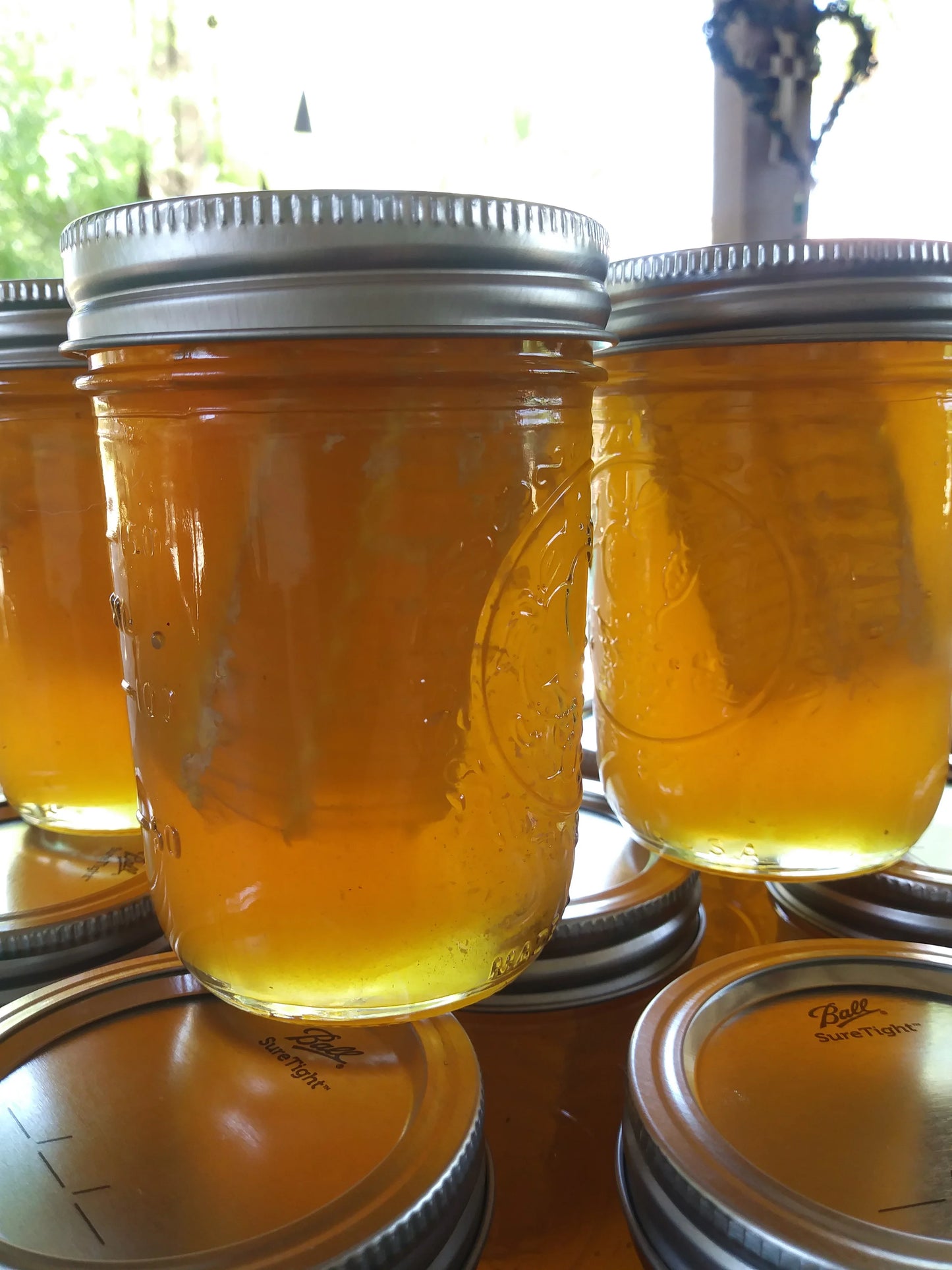 1 Pint Wildflower Honeycomb