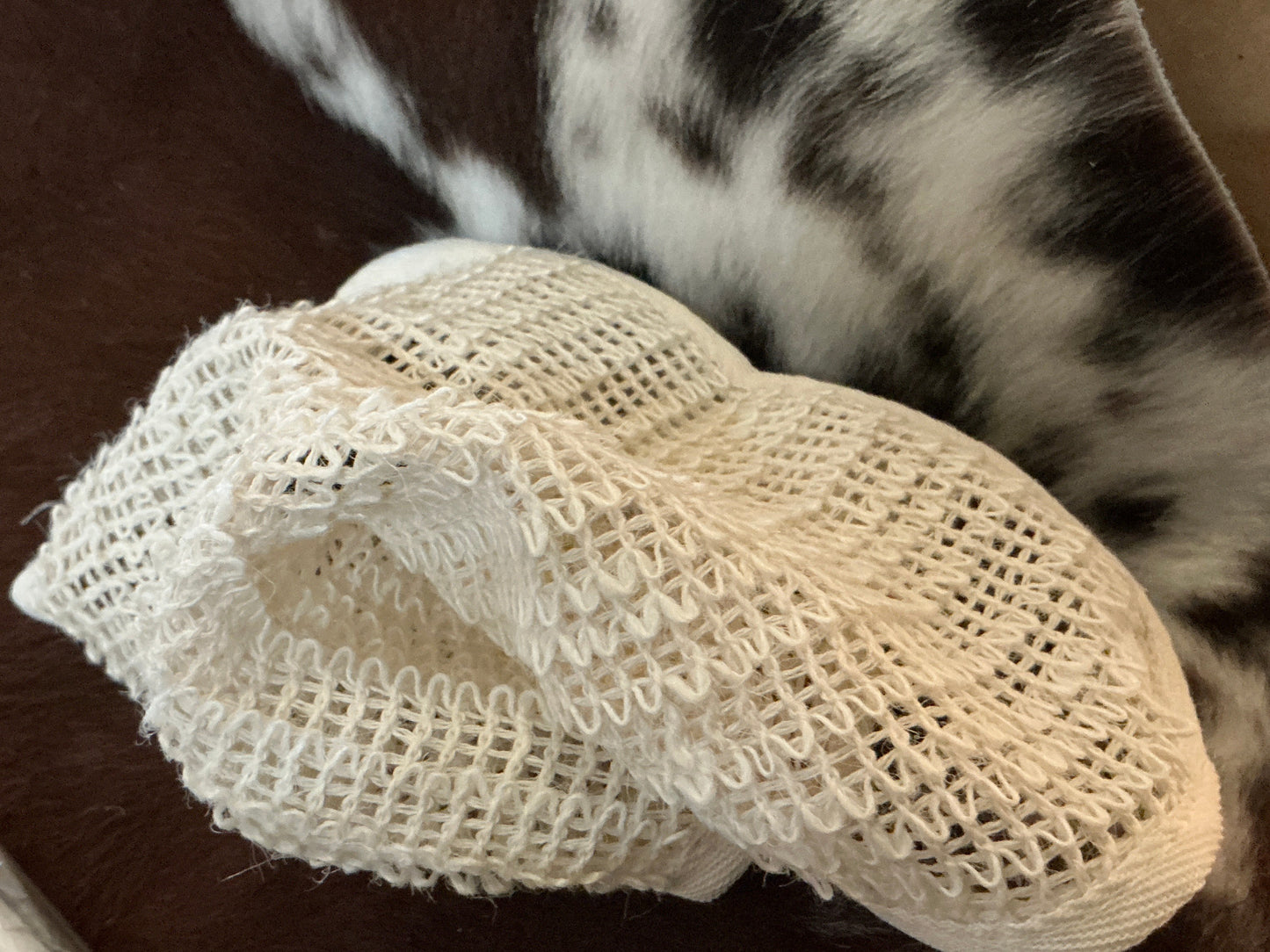 Sisal Exfoliating Washcloth-Effo Tallow