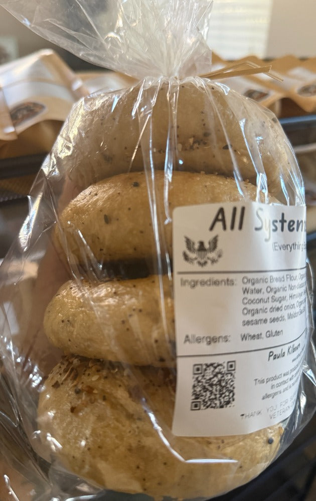 All Systems Bagel (Sourdough Everything Bagel)