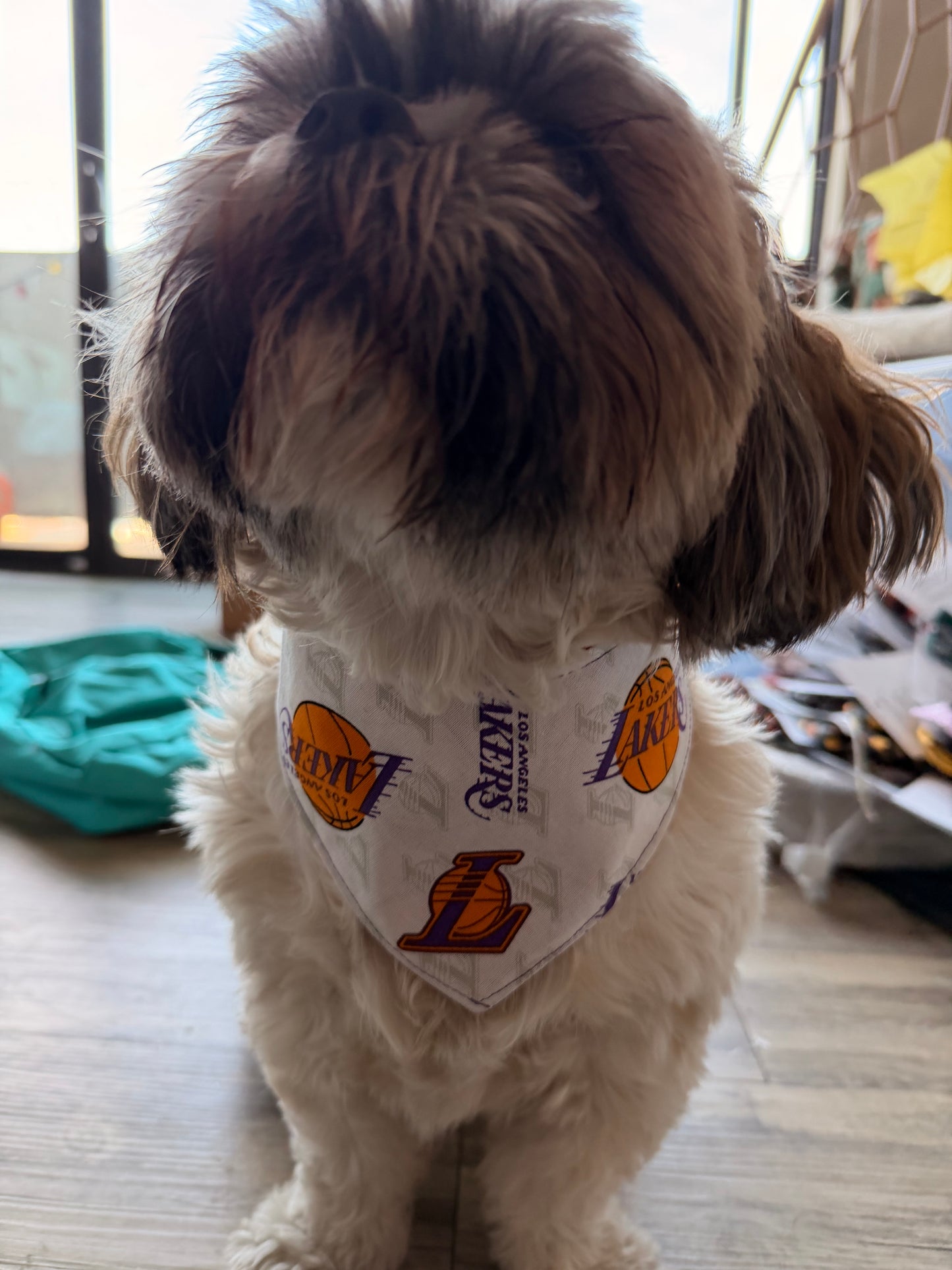 Lakers dog bandana tfreedom