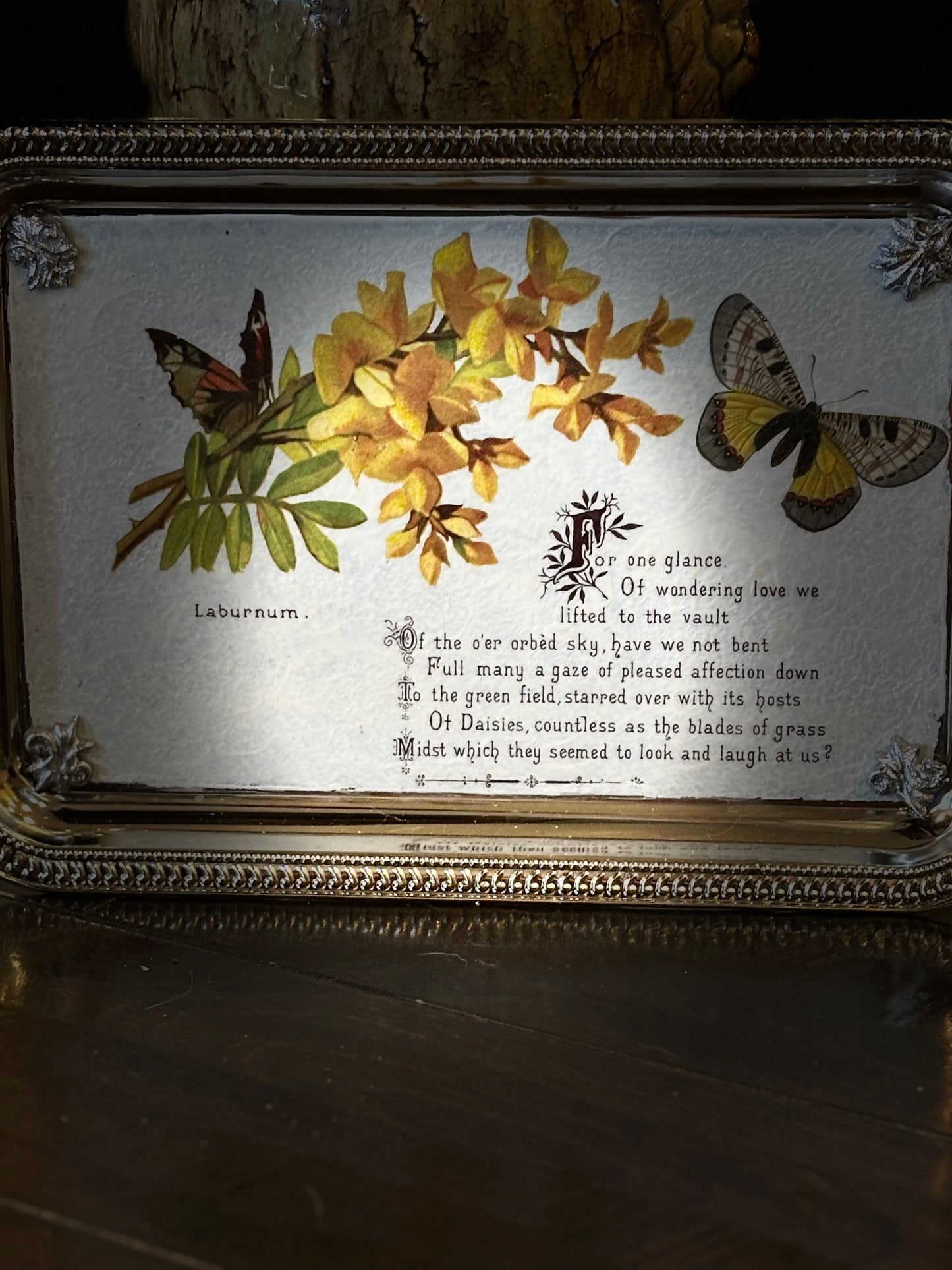 Laburnum silver tray