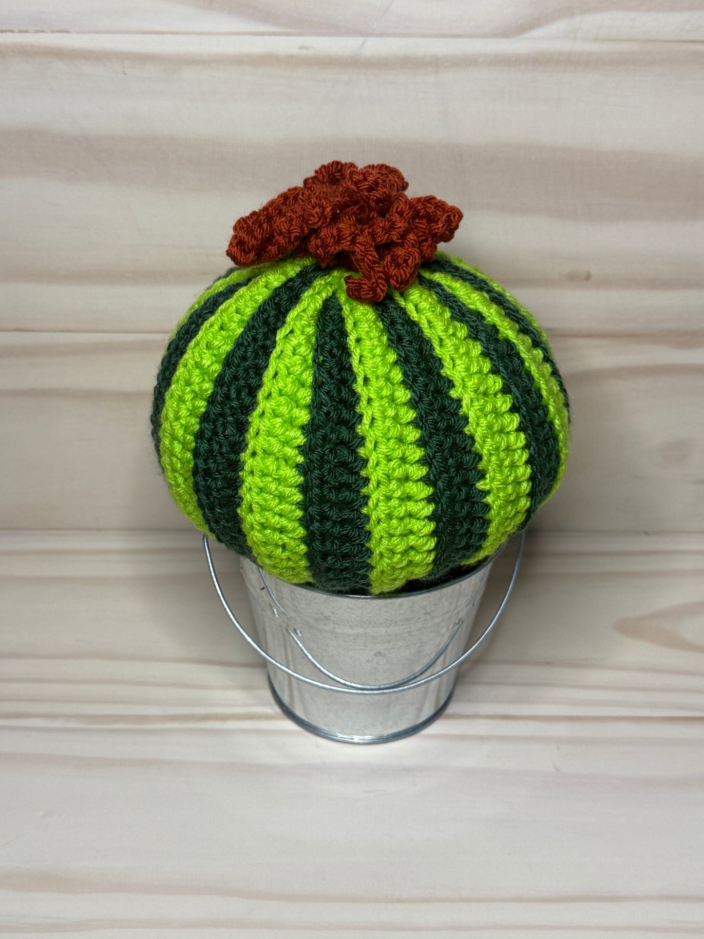 Brain Cactus CHD - Cuddly Cacti Creations