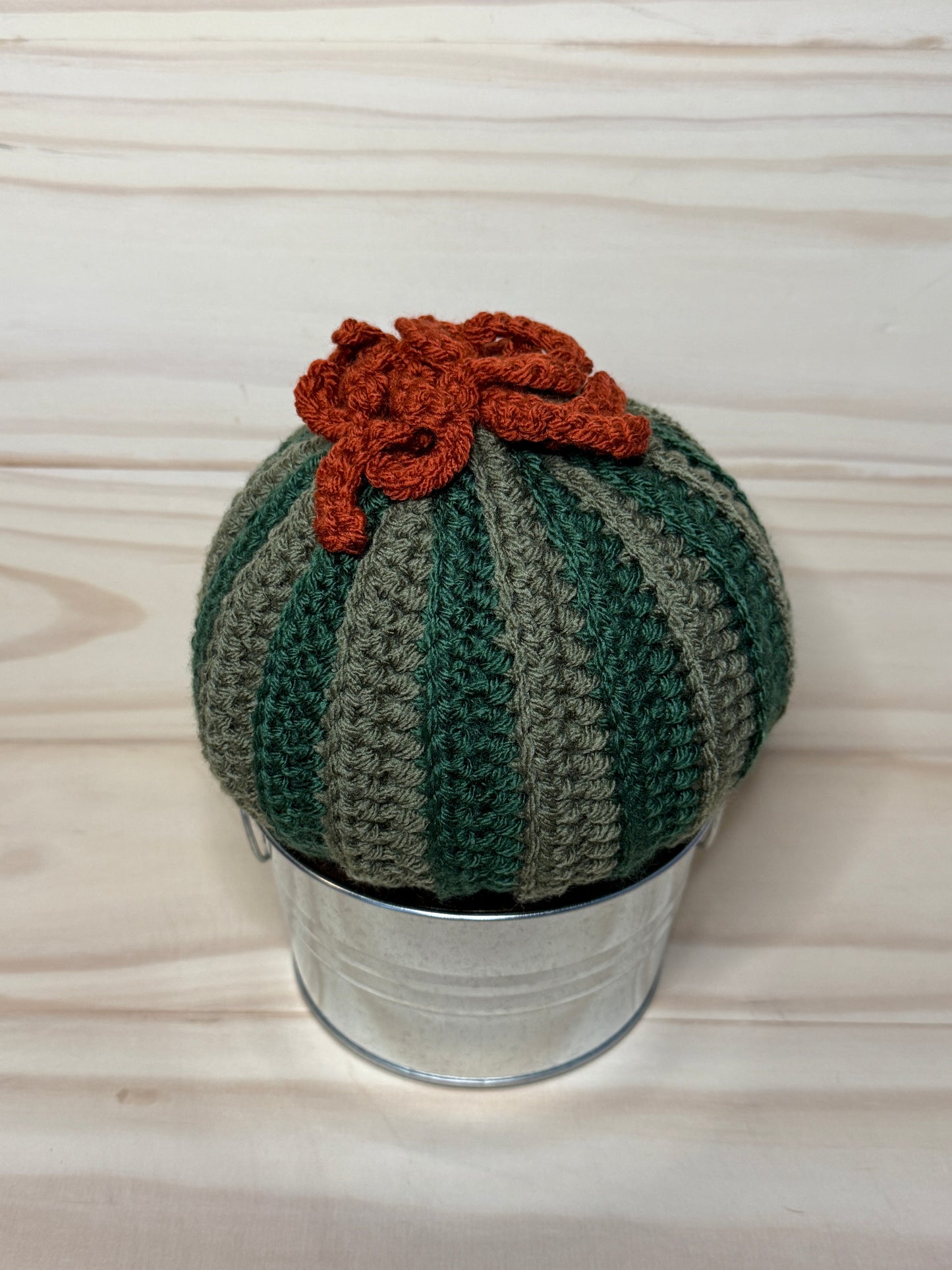 Brain Cactus STV - Cuddly Cacti Creations