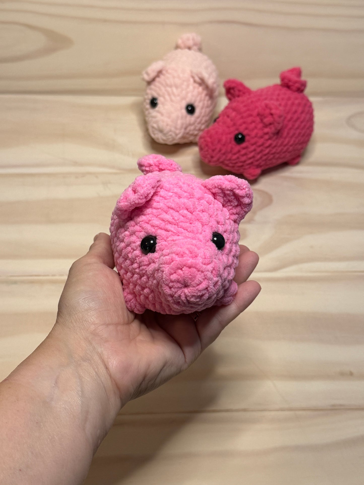 Piggy Loaf STV - Cuddly Cacti Creations