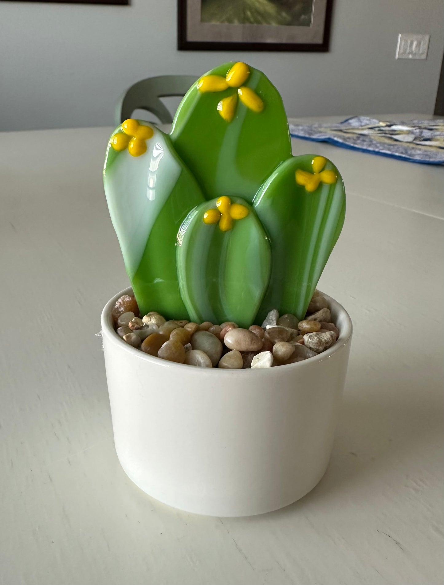 Succulent - Hedgehog 3"