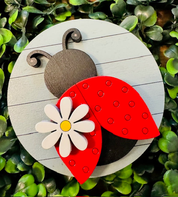 Magnetic Insert - Lady Bug - STV