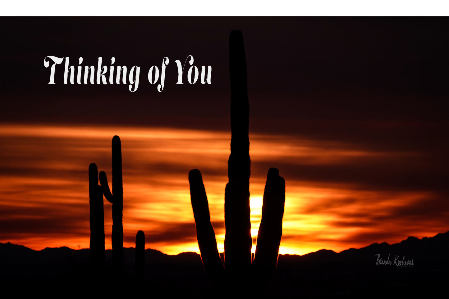 Saguaro Sunset Thinking of You Greeting Card