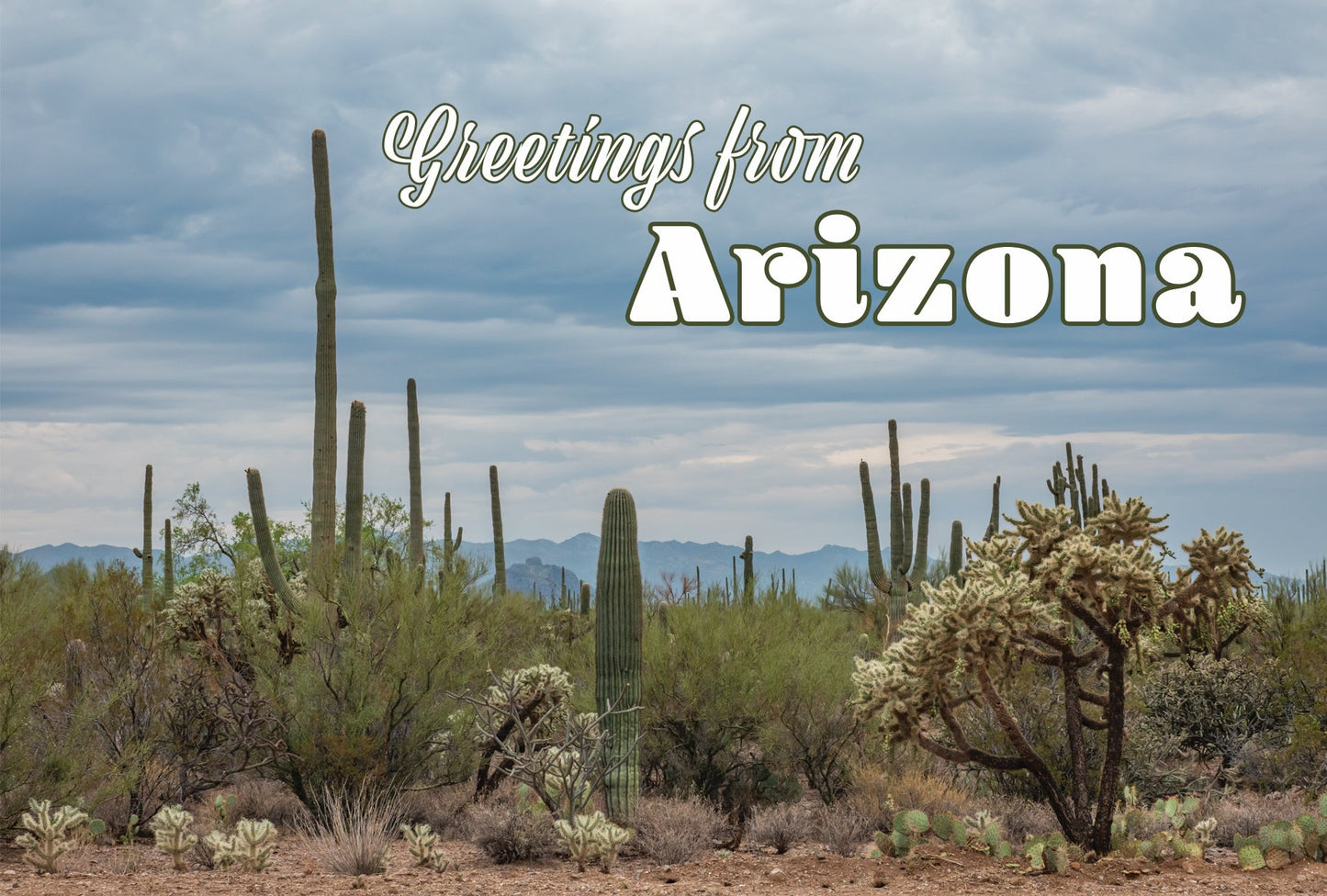 Greetings from Arizona Desert Scene Sticker