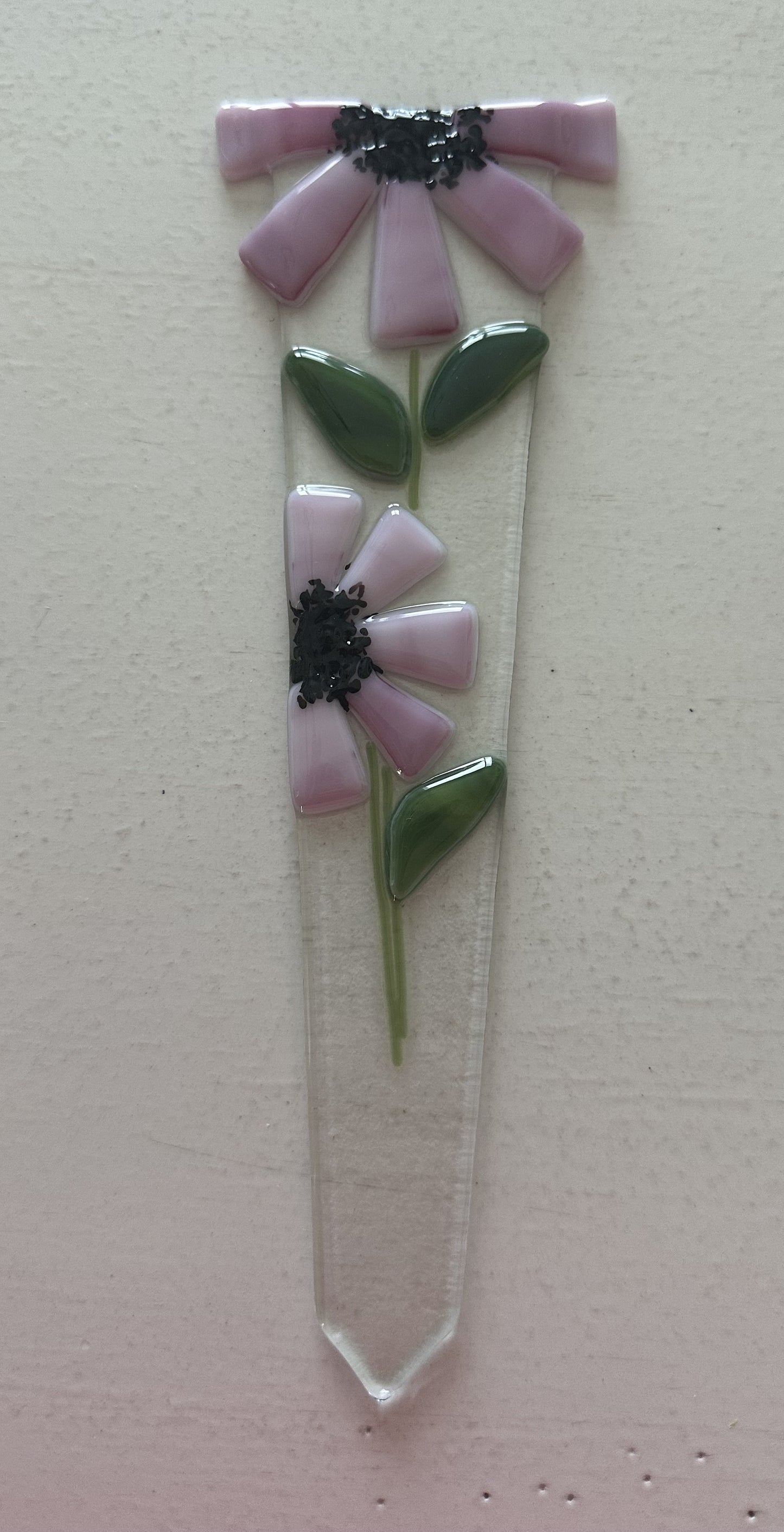 PS Wide - Cone Flowers
