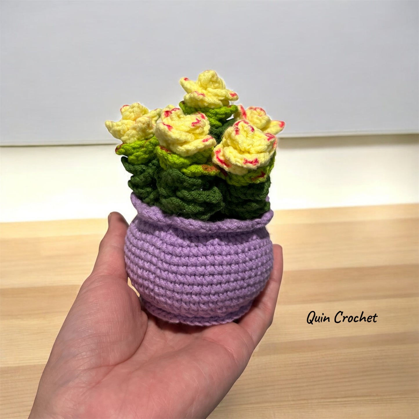 Crochet Succulent Plant in Pot