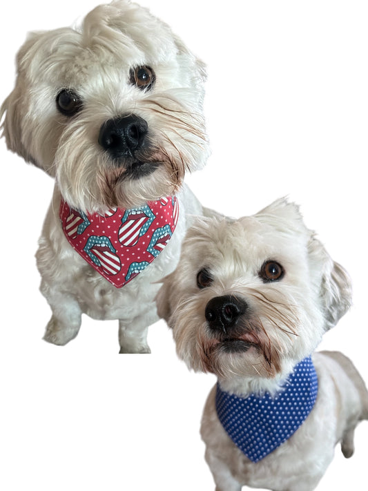 Liberty licks dog bandana -tfreedom