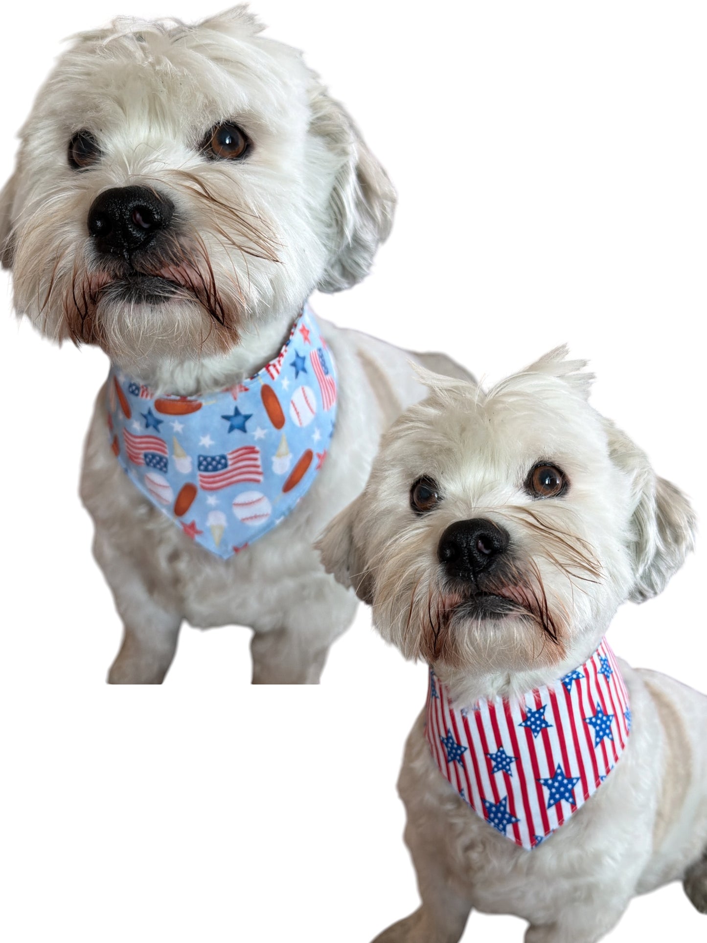 All-American Pup dog bandana -tfreedom