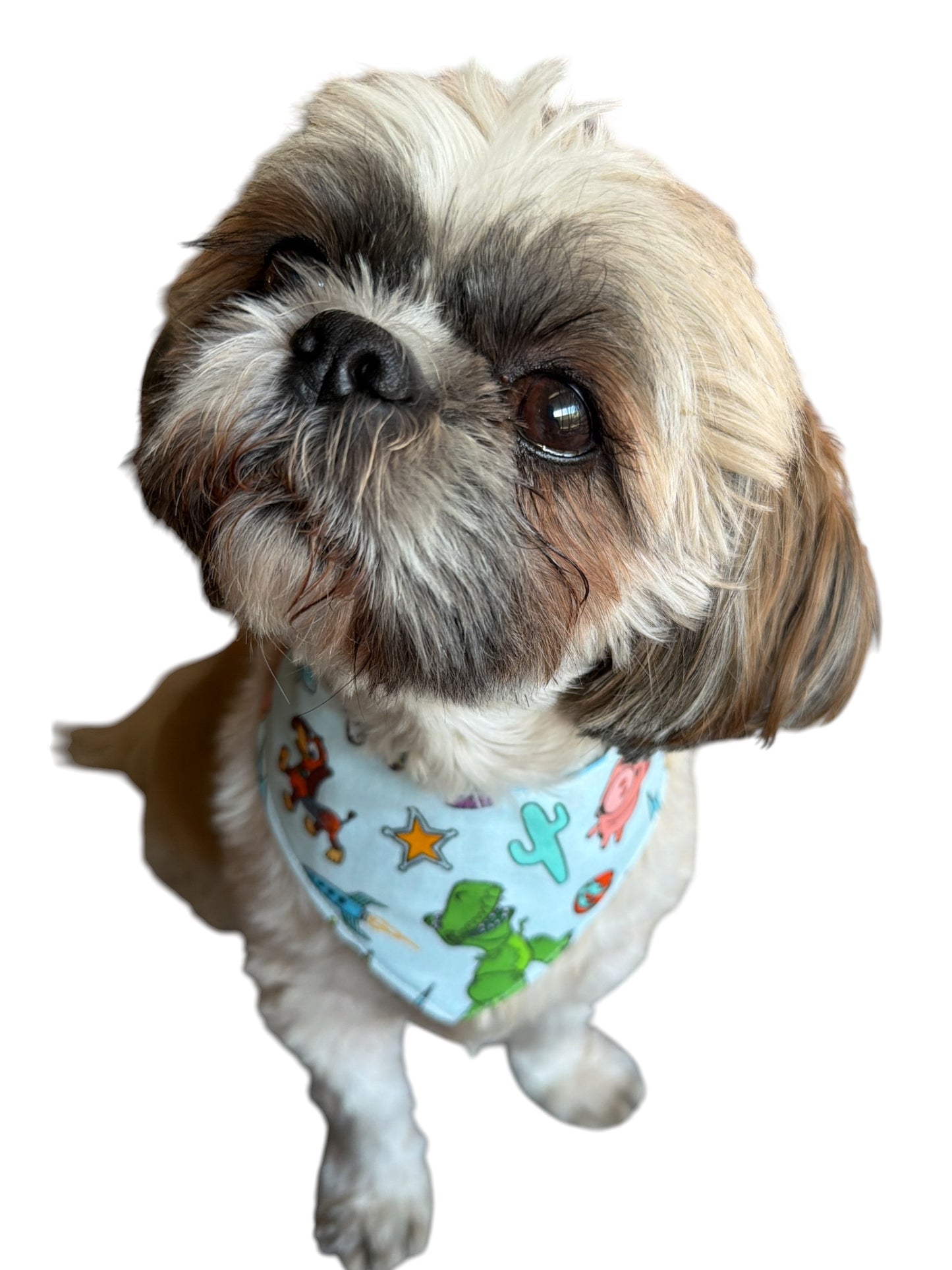 Andy’s Room (Toy Story) dog bandana -tfreedom
