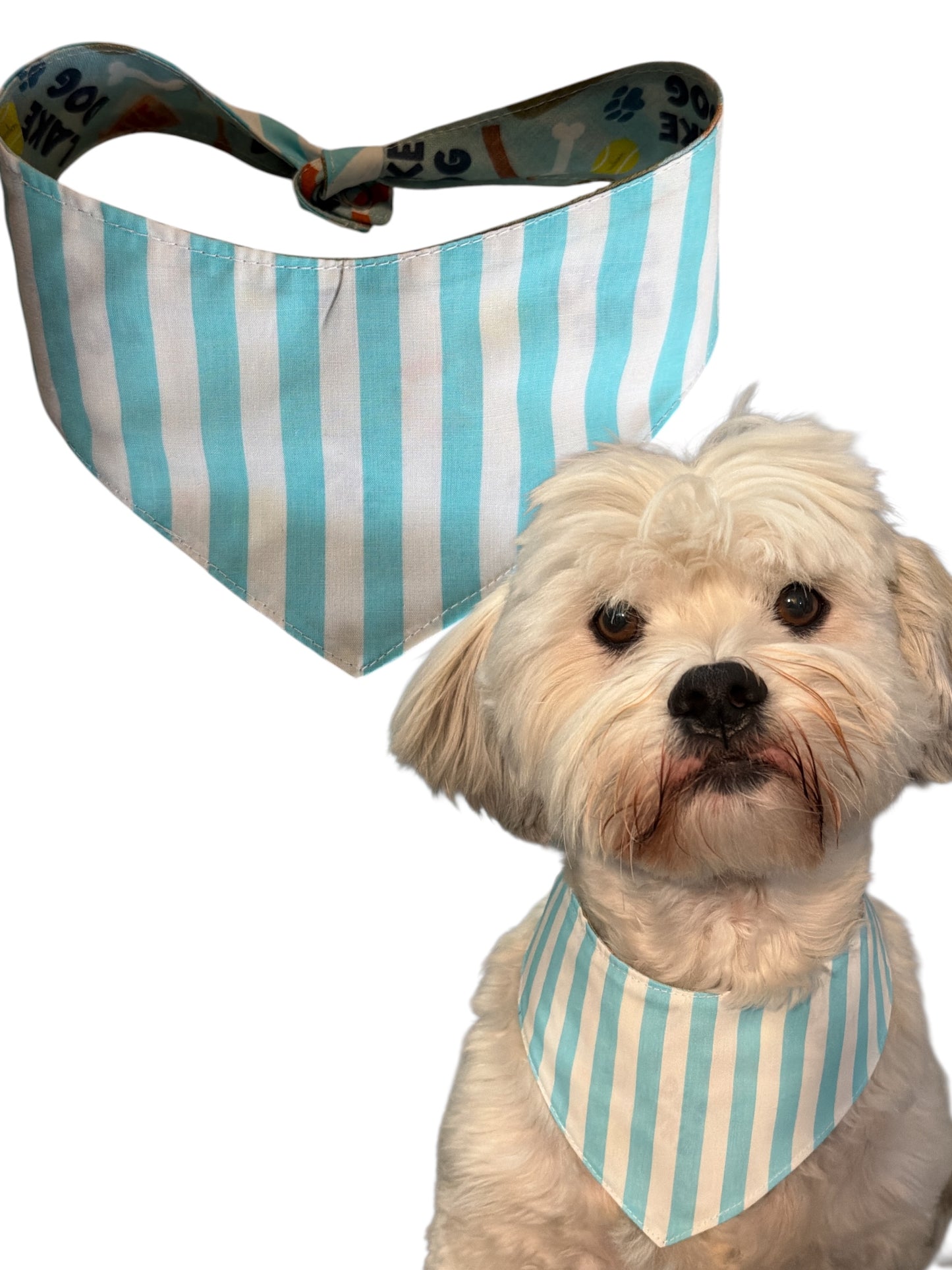 Lake dog dog bandana -tfreedom