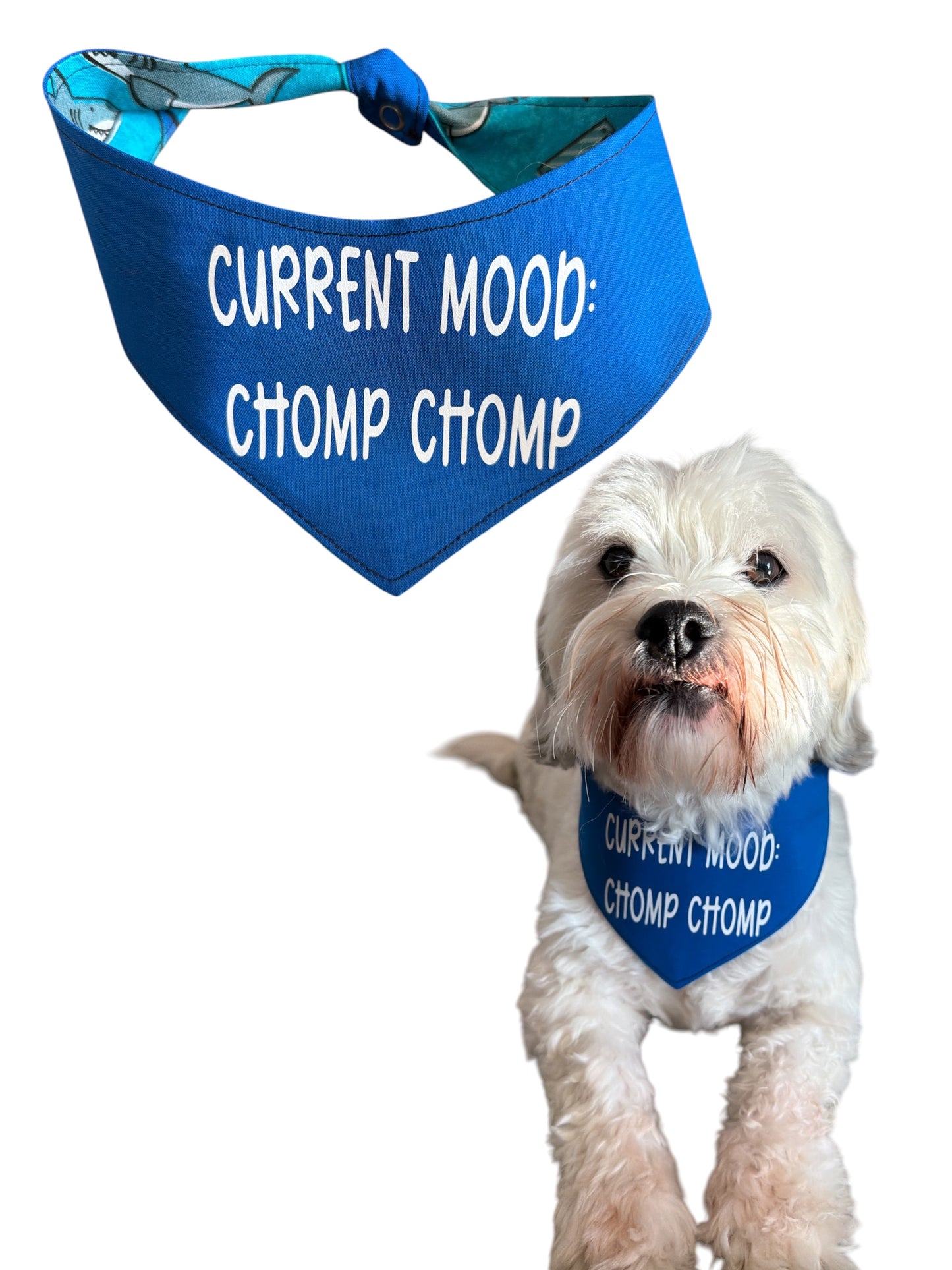 Chomp Chomp dog bandana -tfreedom