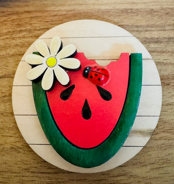Magnetic Insert - Watermelon - CHD