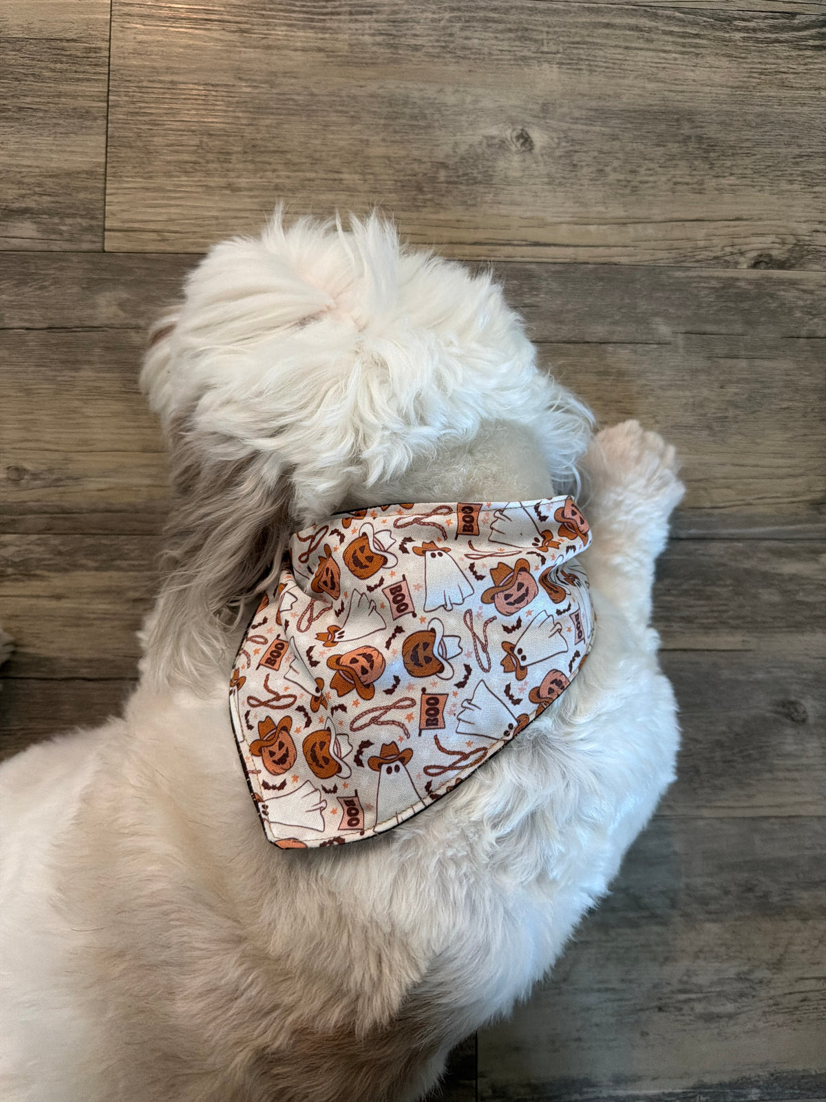 Cowboy ghost 👻 bandana -tfreedom