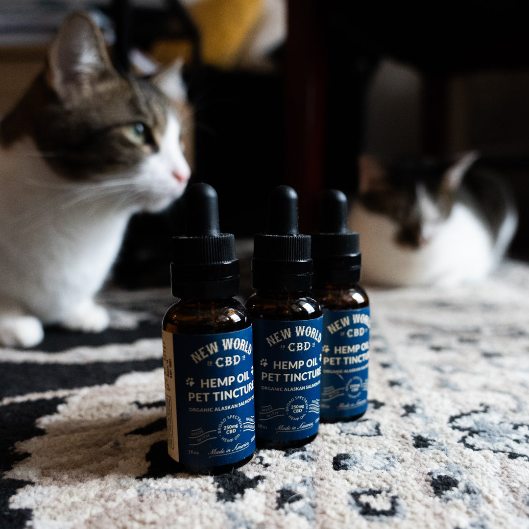 New World CBD Pet Oil 250mg
