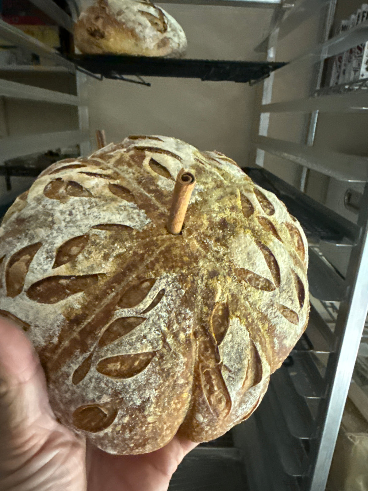 Pumpkin Patrol (Organic Sourdough Pumpkin Boule) - PK Sourdough