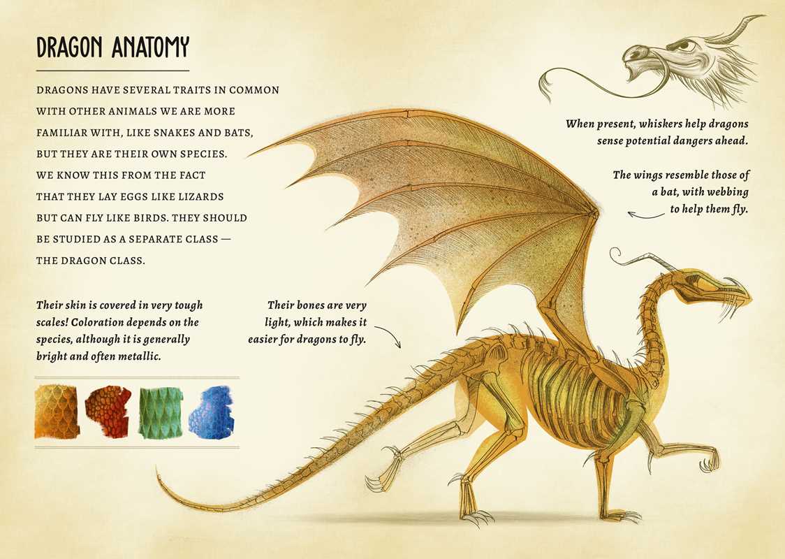 My Little Box of Dragons - STV