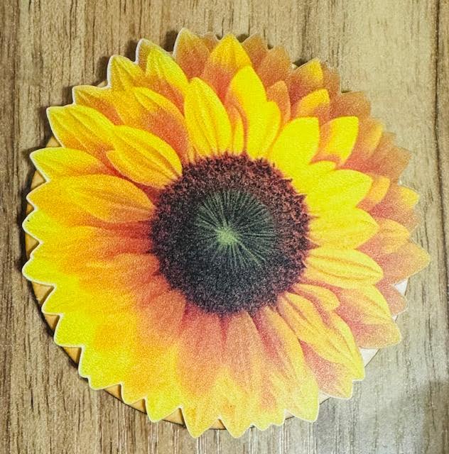 Magnetic Insert - Acrylic - STV
