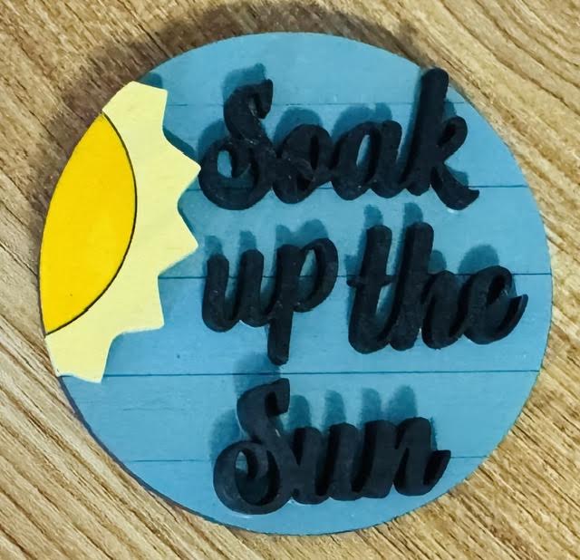 Magnetic Insert - Soak Up The Sun - STV