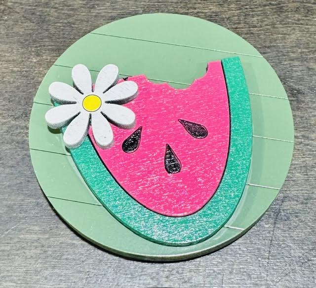 Magnetic Insert - Watermelon - STV