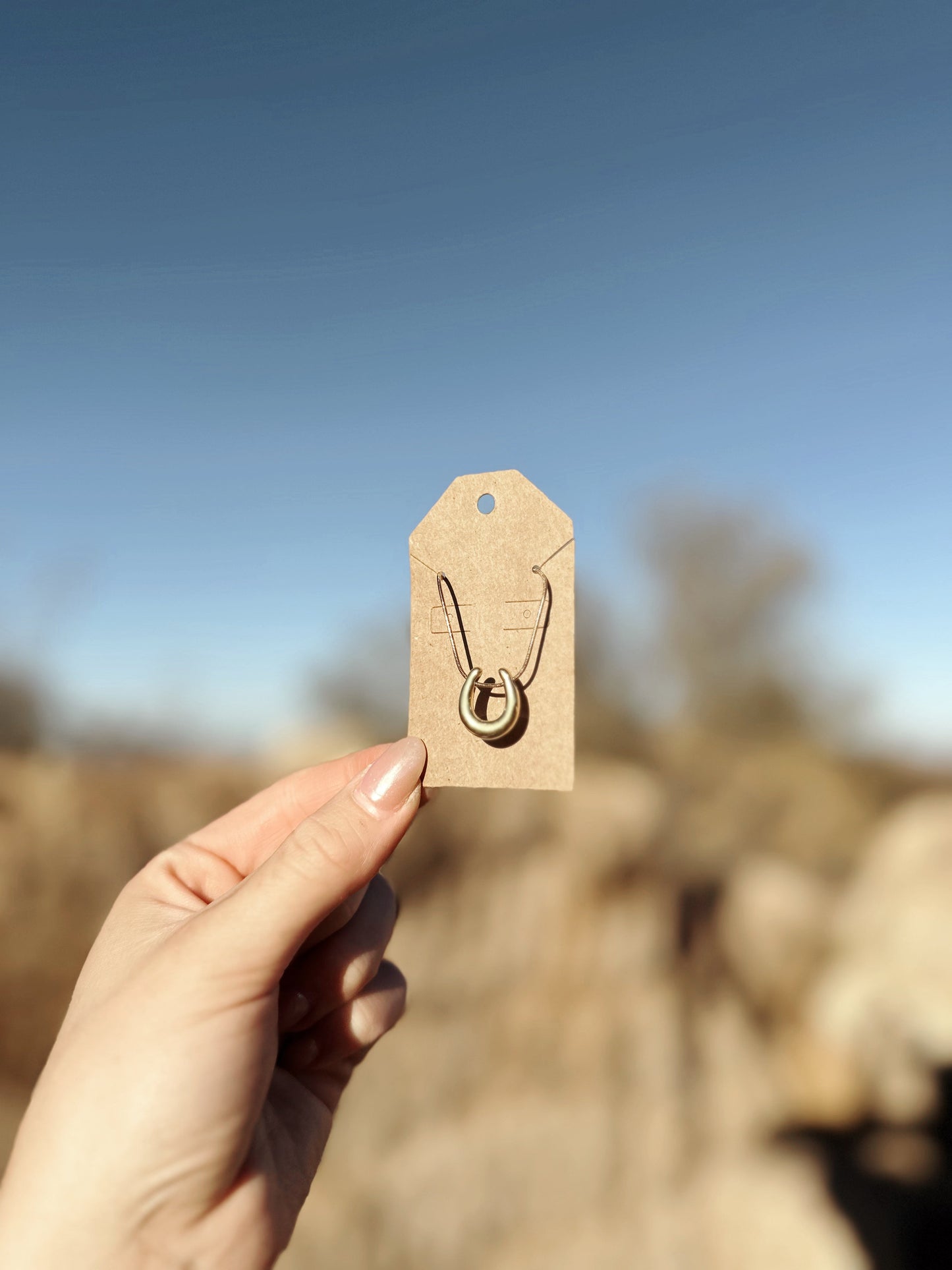 Horseshoe Necklace