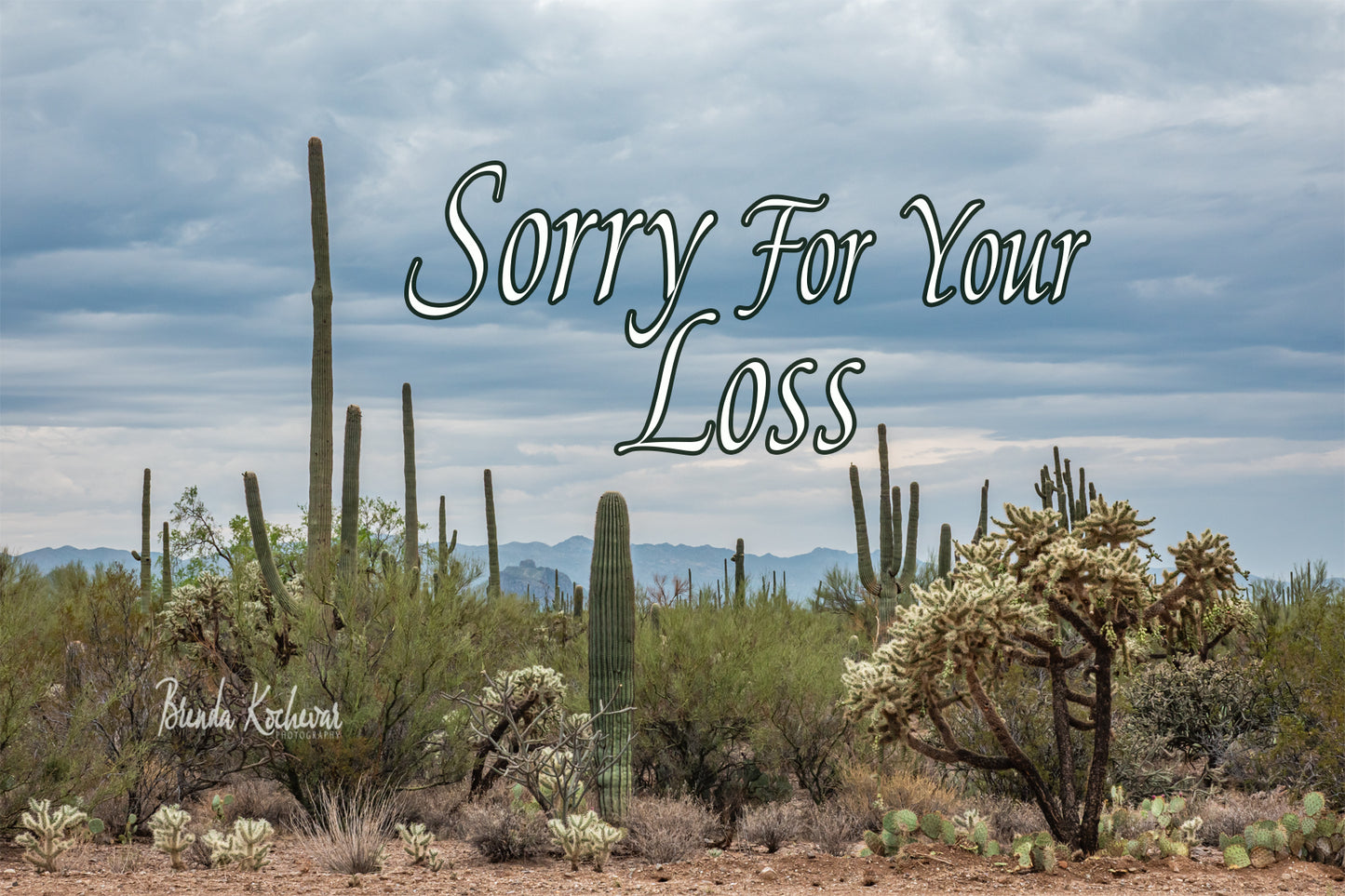 Desert Blooms Sorry For Your Loss Greeting Card