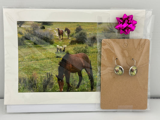 Salt River Wild Horse Friends Greeting Card & Earring Set