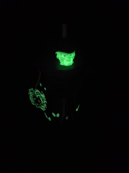 Haunted Mansion Koozie  -We Customize Crafts