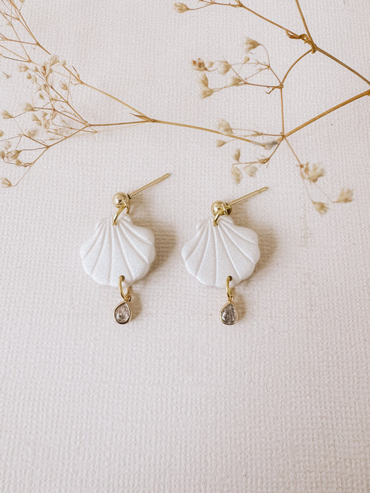 Sea Shell Drops-DesertReign