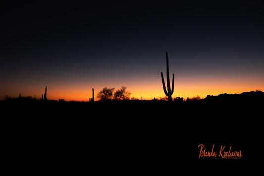Saguaro Sunset Photography on a Greeting Card