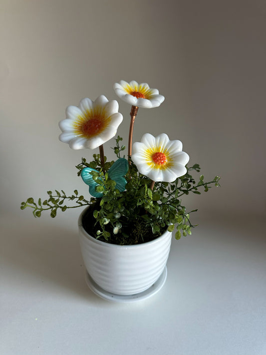 Floral Arrangement - Daisies