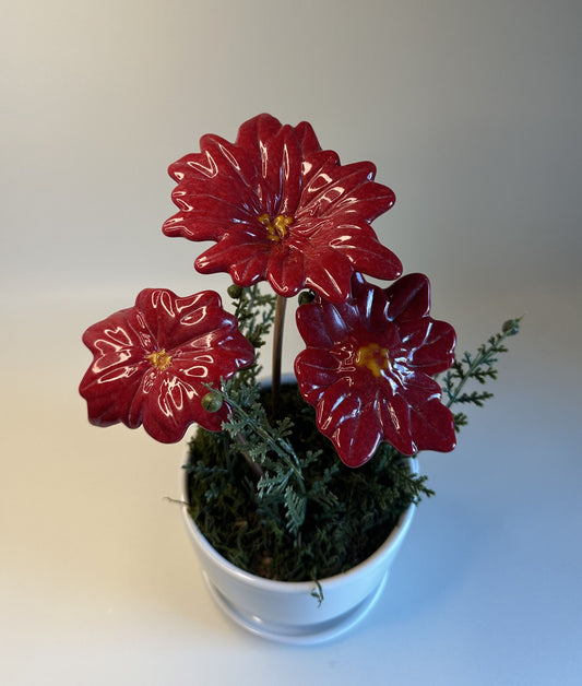 Floral Arrangement - Poinsettias