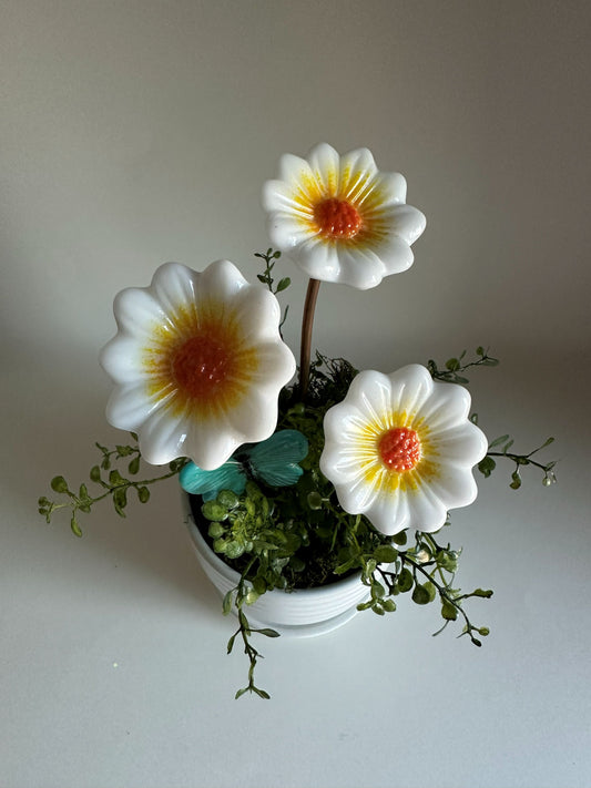 Floral Arrangement - Daisies