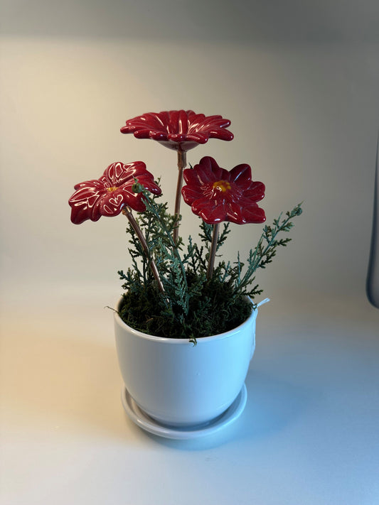 Floral Arrangement - Poinsettias