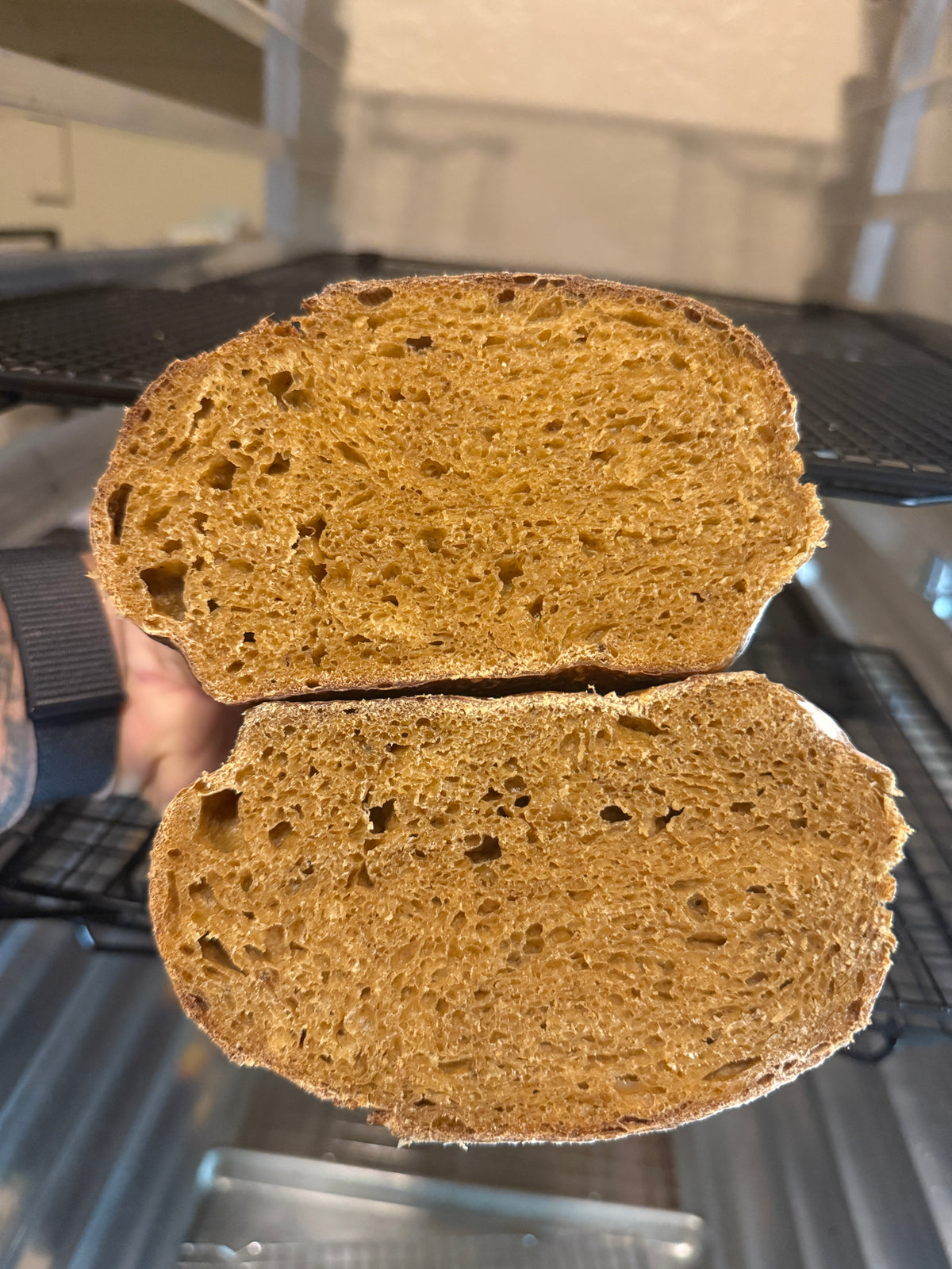 Pumpkin Patrol (Organic Sourdough Pumpkin Boule) - PK Sourdough