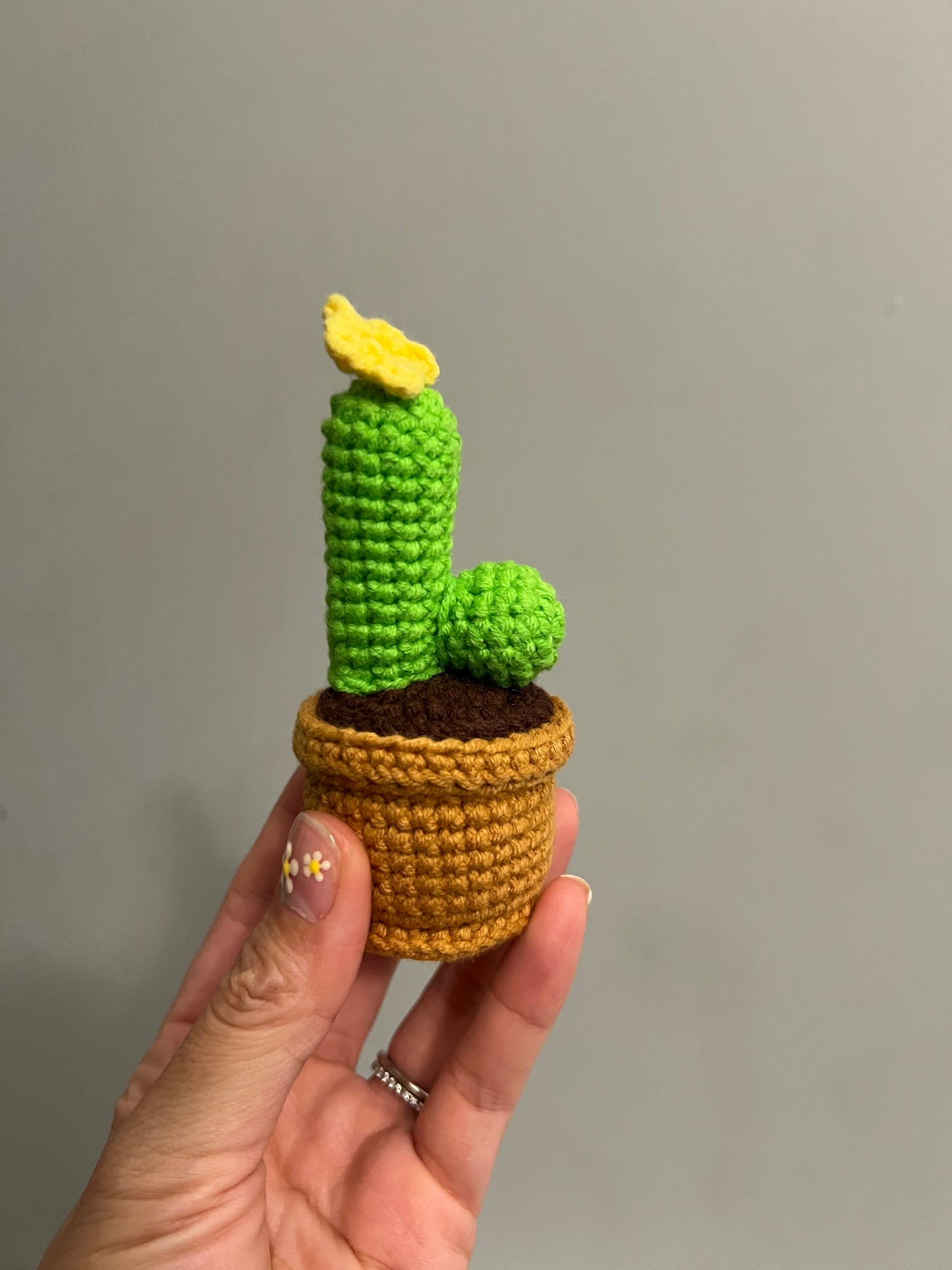 Cactus L.O.V.E set 4pcs