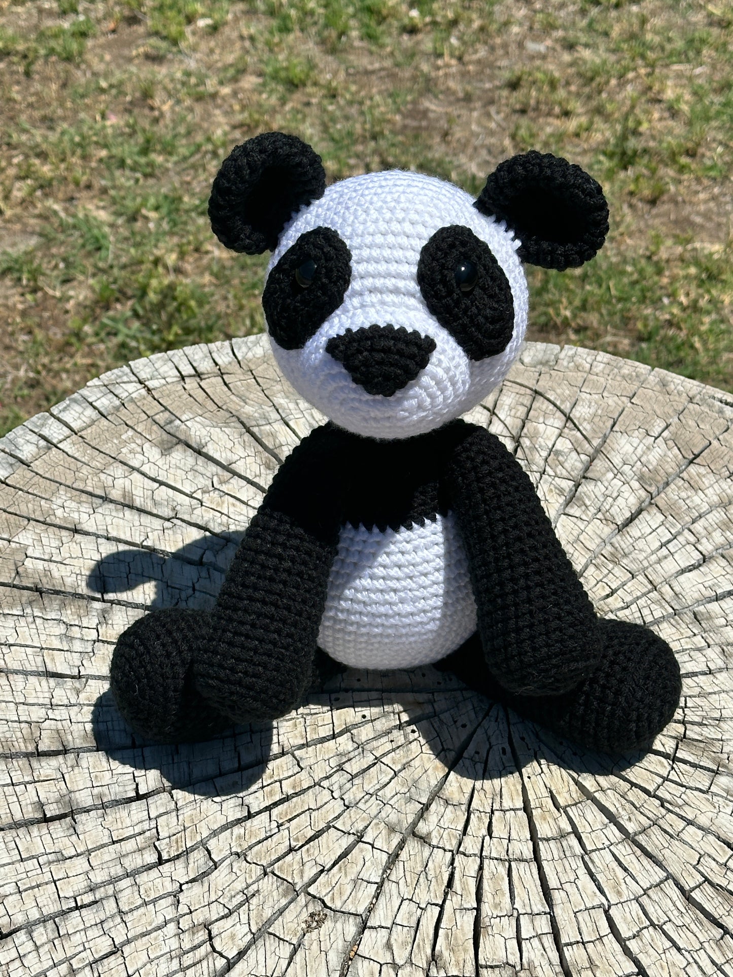 Teddy Bear Plushies CHD - Cuddly Cacti Creations