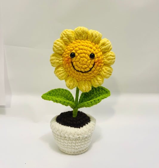 Happy Days Pot