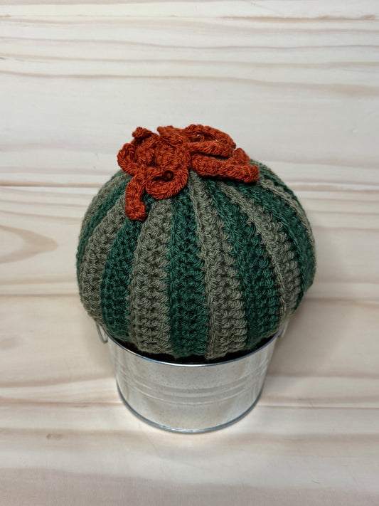 Brain Cactus STV - Cuddly Cacti Creations