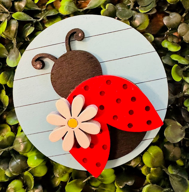 Magnetic Insert - Lady Bug - STV