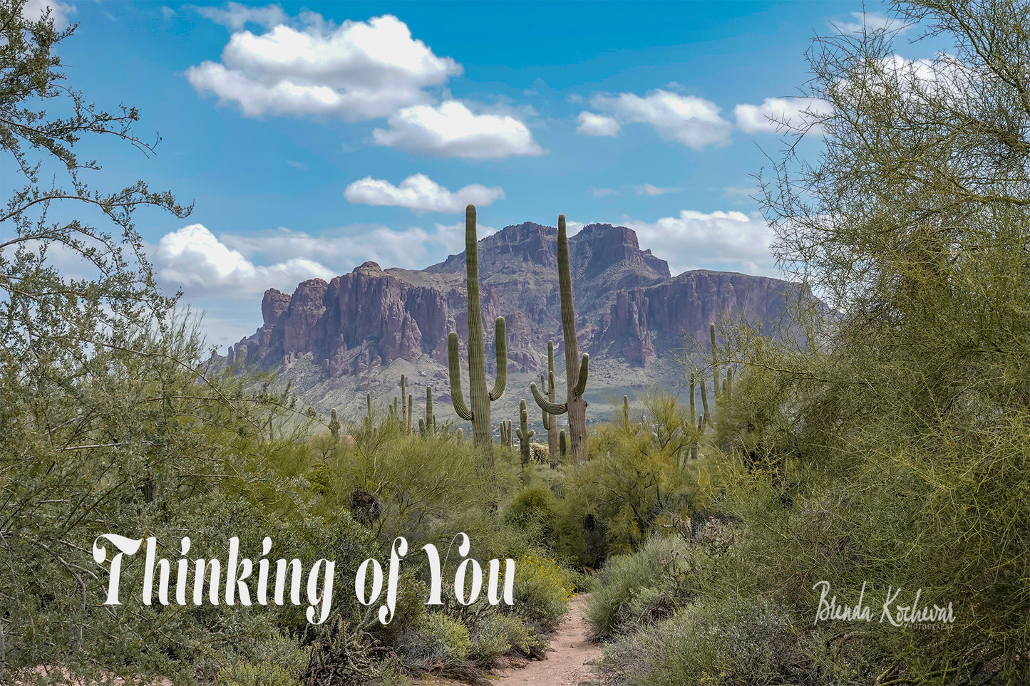Trail to Superstition Mountain Thinking of You Greeting Card