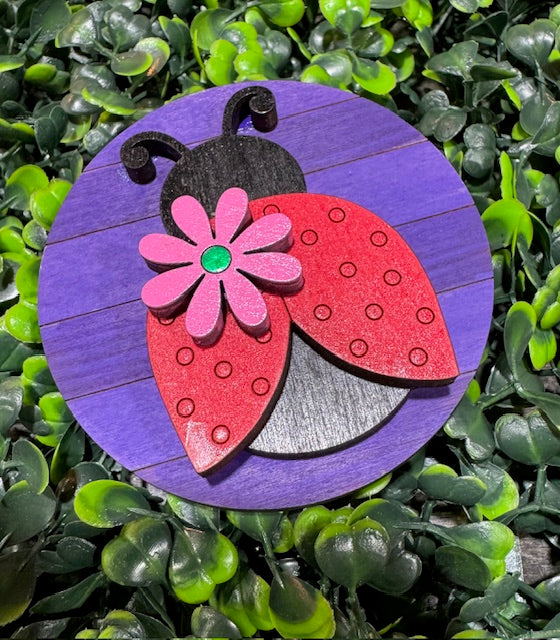 Magnetic Insert - Lady Bug - STV