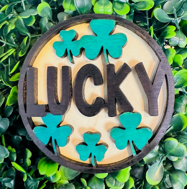 Magnetic Insert - Lucky - STV