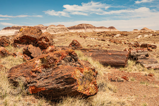 Arizona Petrified Forest Photograph on a Mini Canvas 6”x4”