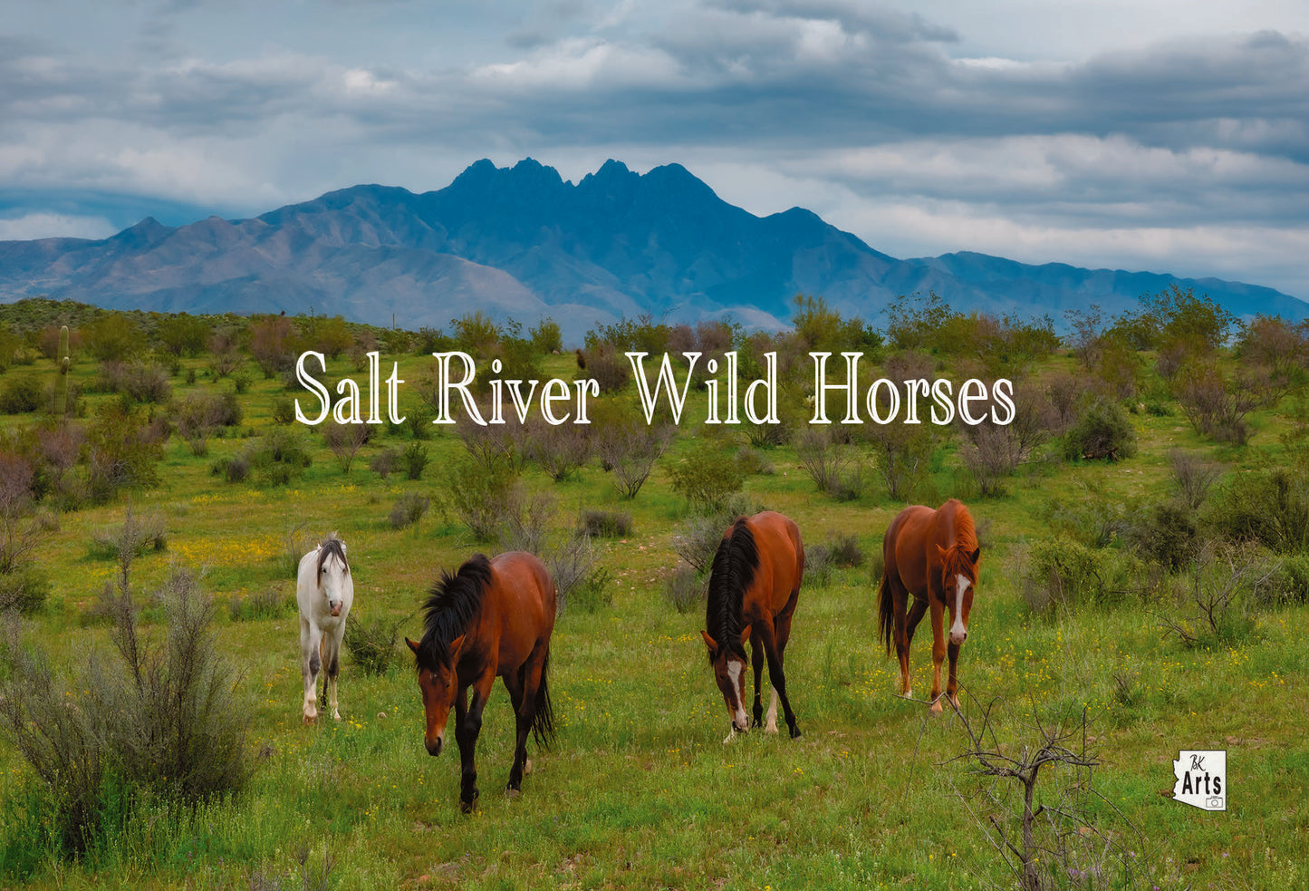4 Peaks and Wild Horses Photograph on a  Magnet