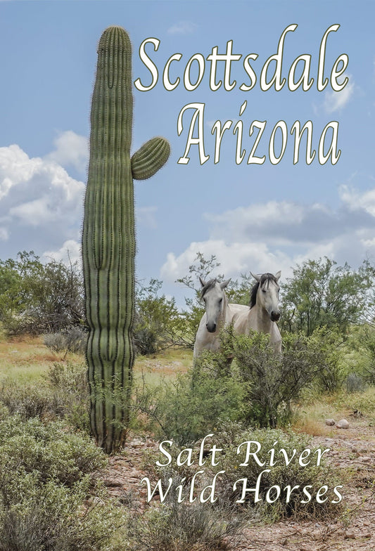 Scottsdale Salt River Wild Horses with Saguaro Postcard