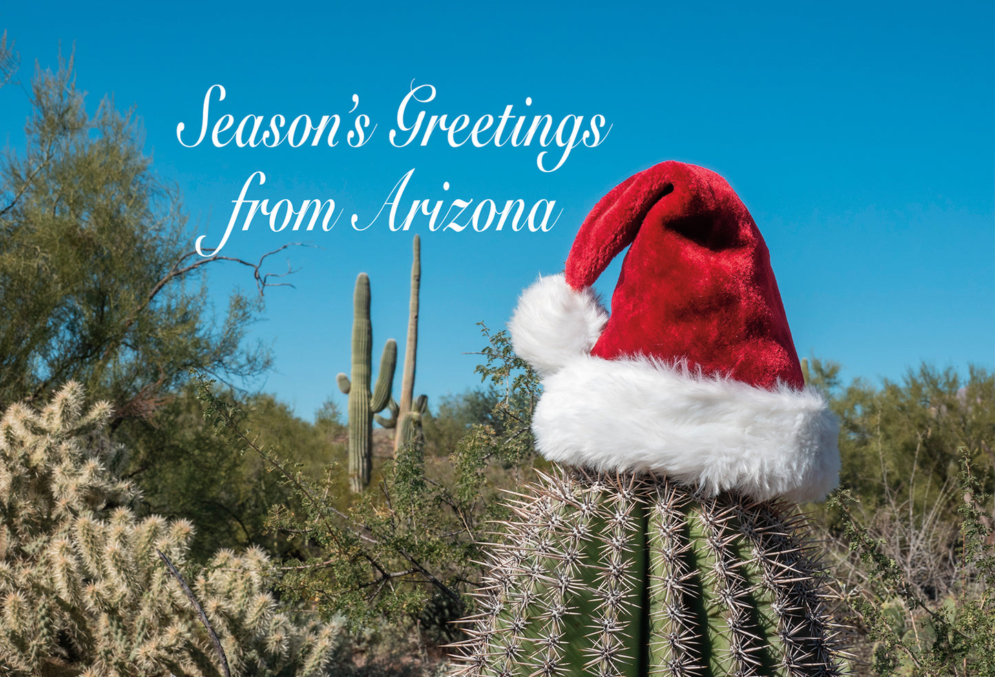Christmas Postcard Set 2